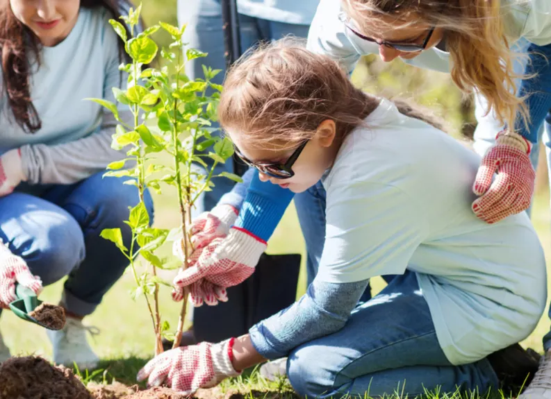 Master Of Social Work